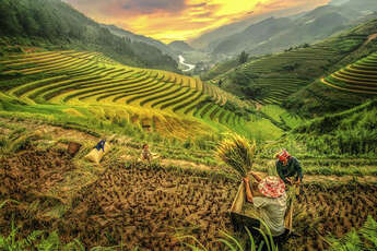 Top 10 des incontournables à découvrir en voyage au Vietnam