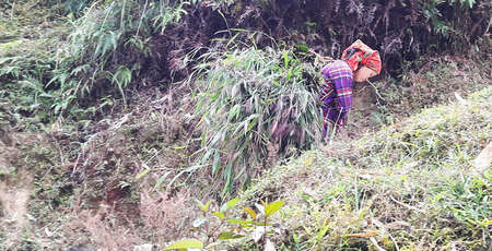 3 jours de trek à Hoang Su Phi, Ha Giang - fin