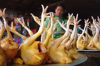 Les 7 plats les plus atypiques de la cuisine laotienne