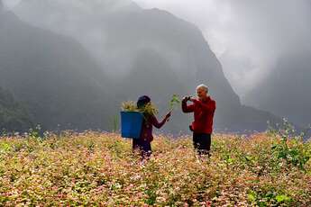 Pourquoi choisir une agence de voyage locale ?