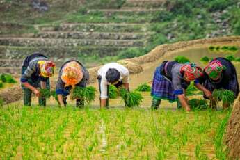 Guide de voyage Vietnam 2024 -2025| Tout ce qu’il faut savoir