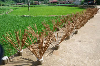   Le village d’encens de Phia Thap