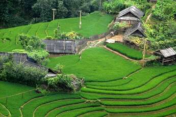 Le village de Sin Chai, l'âme intacte des montagnes de Sapa