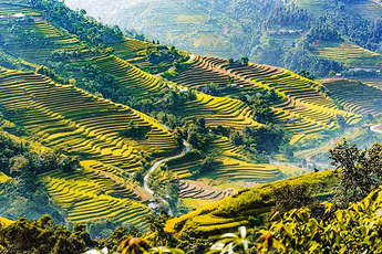 Abécédaire de la culture du Vietnam, de P à R