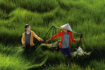 La beauté des femmes vietnamiennes à travers le pays
