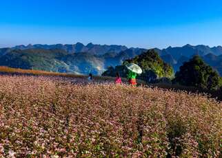 Couleurs du plateau calcaire de Ha Giang