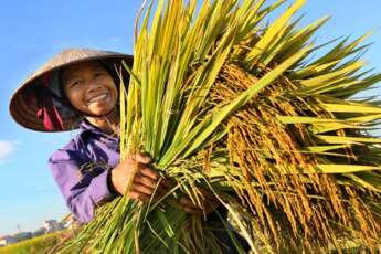 La culture vietnamienne démystifiée !