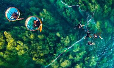 Forêt d'algues de Quang Ngai vue d'en haut
