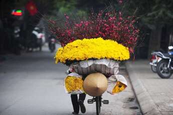 Météo Hanoï : guide de Hanoi mois par mois