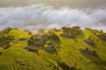 À Ha Giang en saison du riz mûr