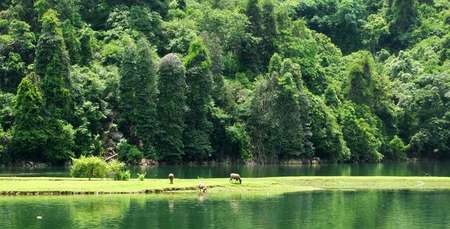 Le lac de Ba Be, trésor vert au nord-ouest du Vietnam
