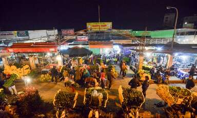 Marché nocturne aux fleurs de Quang Ba, Hanoi