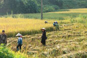 Nghia Lô : Une perle du Nord-Ouest du Vietnam 