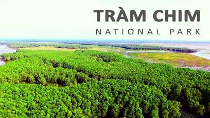 Exploration du parc national de Tram Chim, Dong Thap
