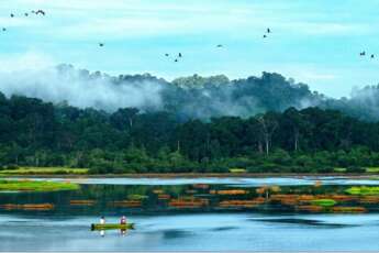 Parc national de Cat Tien: que voir et que faire?