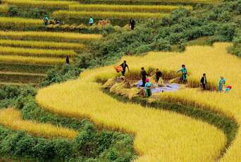 Vietnam en basse Saison : Le secret d’un voyage unique et économique
