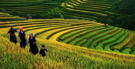 Bons plans de partir au Vietnam en octobre et novembre 