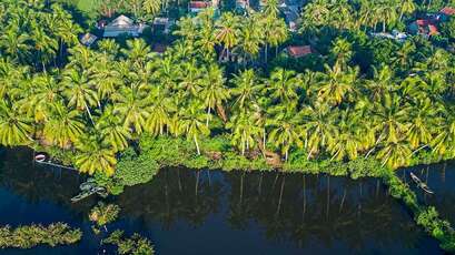 Le royaume paisible de la noix de coco de Ben Tre