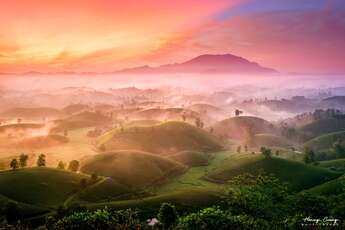 Les paysages spectaculaires du plateau de thé Long Coc, Phu Tho