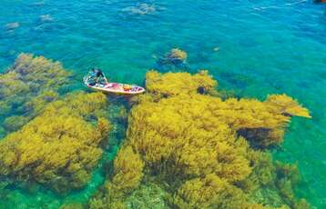 Les paysages du Vietnam vus d’en haut