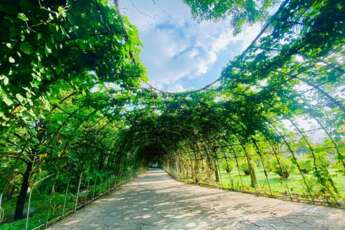 Top 5 resorts idéaux pour des vacances à Ben Tre