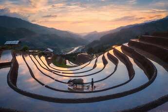 Où et quand voir les plus belles rizières du Nord du Vietnam ?