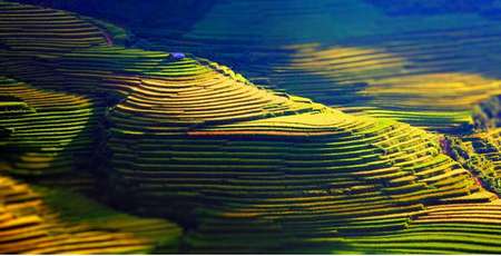 Mu Cang Chai: guide complet et idée d'itinéraire 2025