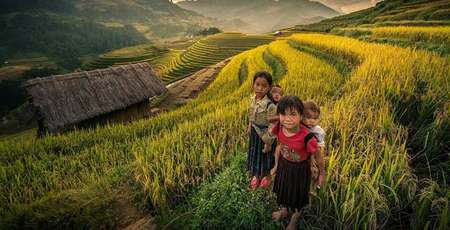 Rizières en terrasse de Mu Cang Chai, chef d’œuvre des Mong