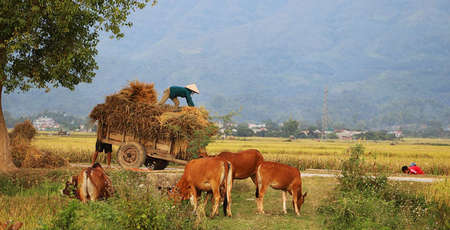  Top 10 expériences authentiques au Vietnam