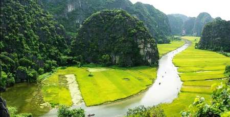 La beauté enivrante de la moisson d’or à Tam Coc