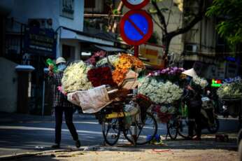 Voyage au Vietnam pour un temps limité?
