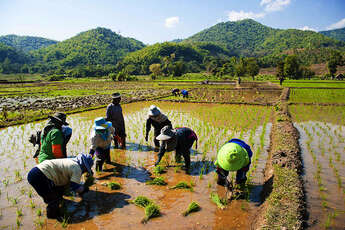 Visitez le nord du Vietnam au rythme de 4 saisons