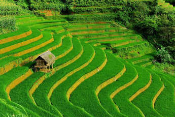 Sapa en 10 incontournables : top 10 activités à Sapa