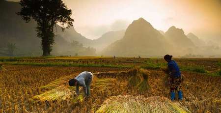 Voyager au Vietnam à travers ses billets