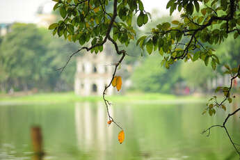 5 raisons pour voyager au Vietnam en automne