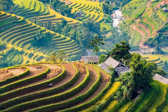 Randonnée à Hoang Su Phi - Ha Giang de 3, 4, 5, 6 à 7 jours, que faire ?