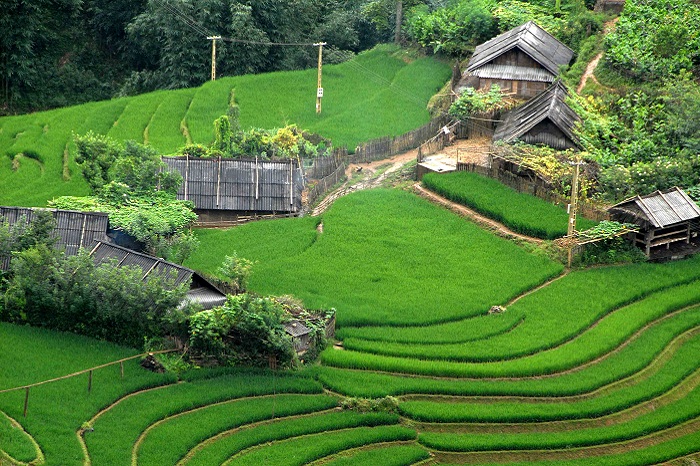 Le village de Sin Chai, l'âme intacte des montagnes de Sapa