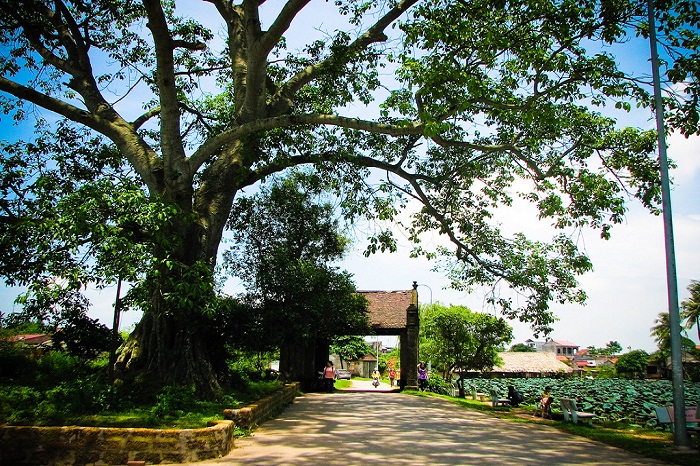 Une journée à Duong Lam, un ancien village de Hanoï