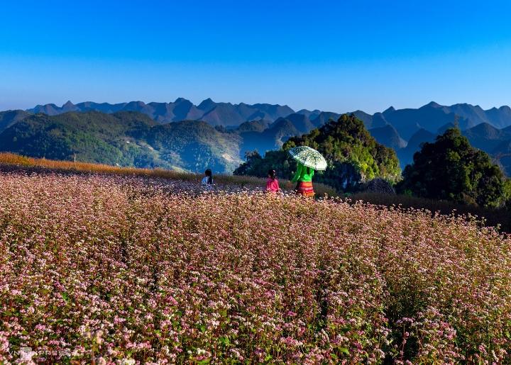 Couleurs du plateau calcaire de Ha Giang