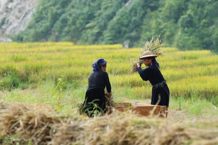 Voyage au Vietnam le long de la fameuse route mandarine
