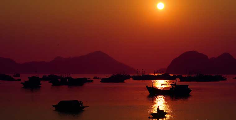 Top 5 des incontournables sur l'Île de Cát Bà