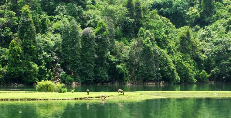 Le lac de Ba Be, trésor vert au nord-ouest du Vietnam