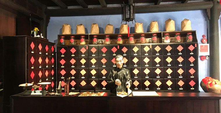 Ouverture du Musée de la Médecine traditionnelle à Hoi An