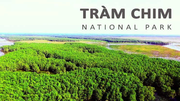 Exploration du parc national de Tram Chim, Dong Thap