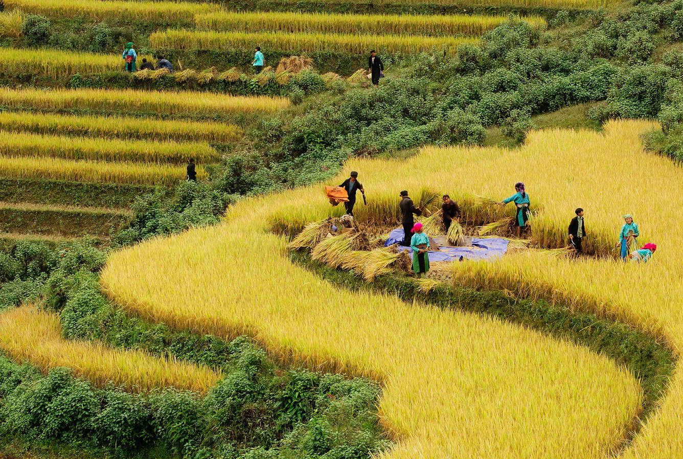 Vietnam en basse Saison : Le secret d’un voyage unique et économique