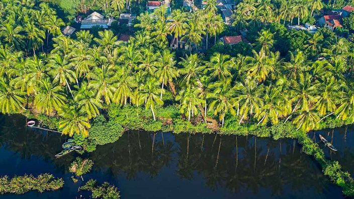 Le royaume paisible de la noix de coco de Ben Tre