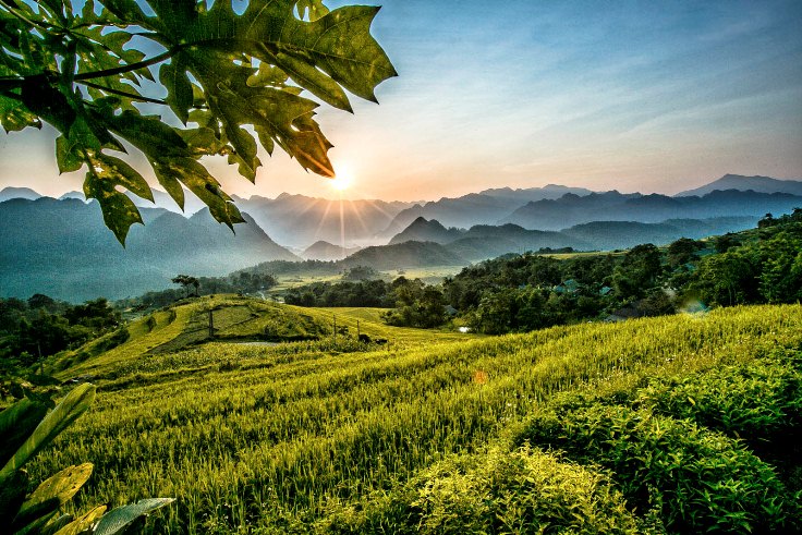 Réserve naturelle Pu Luong - une terre paisible et poétique