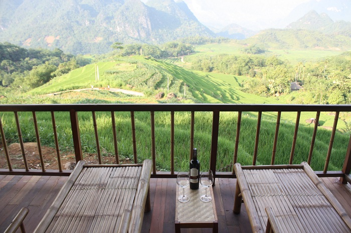 Pù Luông : Guide de voyage nature au nord du Vietnam 2026