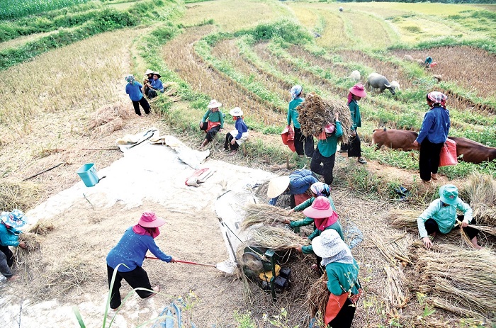 Si Ma Cai - nouvelle destination de Lao Cai
