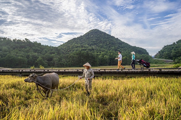 Liste des terrains pour votre circuit de golf au Vietnam
